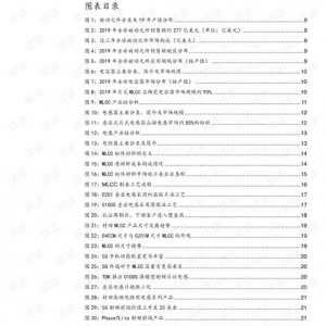 91p国产,揭秘神秘东方古国的历史与文化