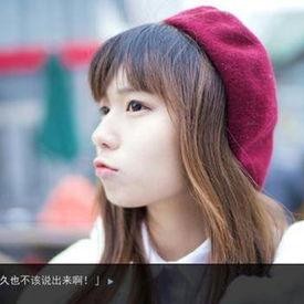 国产福利 真实,揭秘我国福利体系的创新与发展